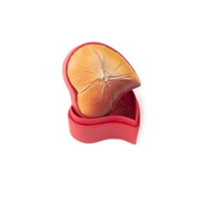 Ādas Kastīte Sirds Formā, Sarkana, 6×6 cm Ādas kastīte sirds formā, sarkana, 6x6 cm