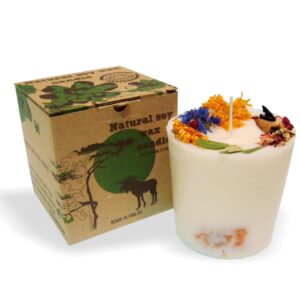 Aromātiskā sojas vaska svece, kanēlis un apelsīns, 350 ml