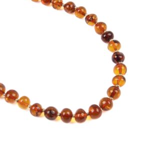 Dzintara kaklarota, 47 cm