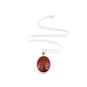 Dzintara kulons ar sudraba Ķēdīti