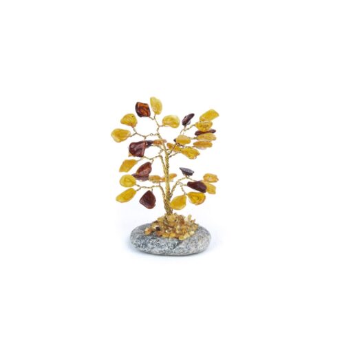 Dzintara naudas koks uz akmens, 9 cm