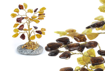 Dzintara naudas koki