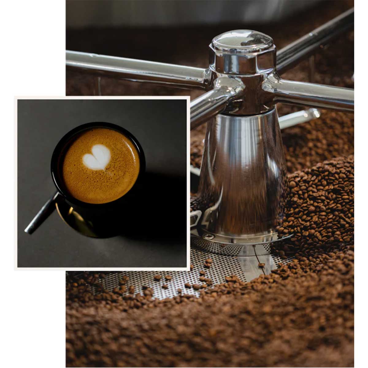 Kafijas pupiņas - Graudzētas Latvijā