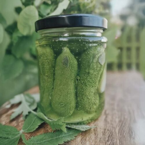 Svece burciņā "marinēti gurķīši"