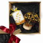 Dāvanu komplekts – Dzintara Naudas Koks un Svece