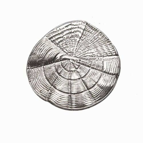 naudas-zvina-arnis-ronis-veiksme-1 Zivju naudas zvīņa laimei