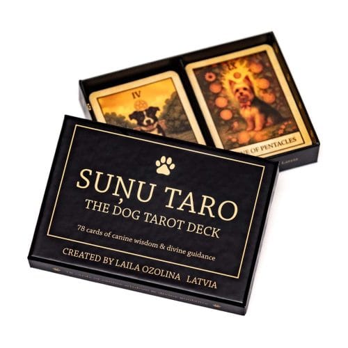 Taro kārtis ar suņiem