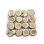 Wooden Coaster with Juniper Tree, 15x15 cm