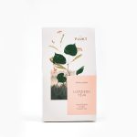 Loose Linden Tea, 20 g