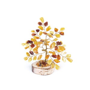 Amber money tree on birch disc, 11.5 cm