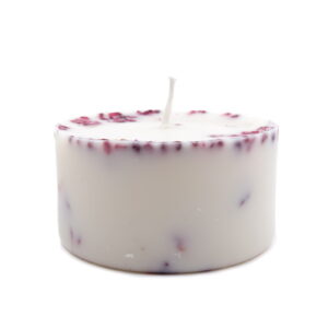 Soy wax candle with plants and berry aroma