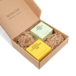 Hair Care Set - Gooseberry Shampoo Bar + Mango Conditioner Bar