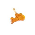 Amber Pendant "Latvia", Light Brown, 2x3 cm