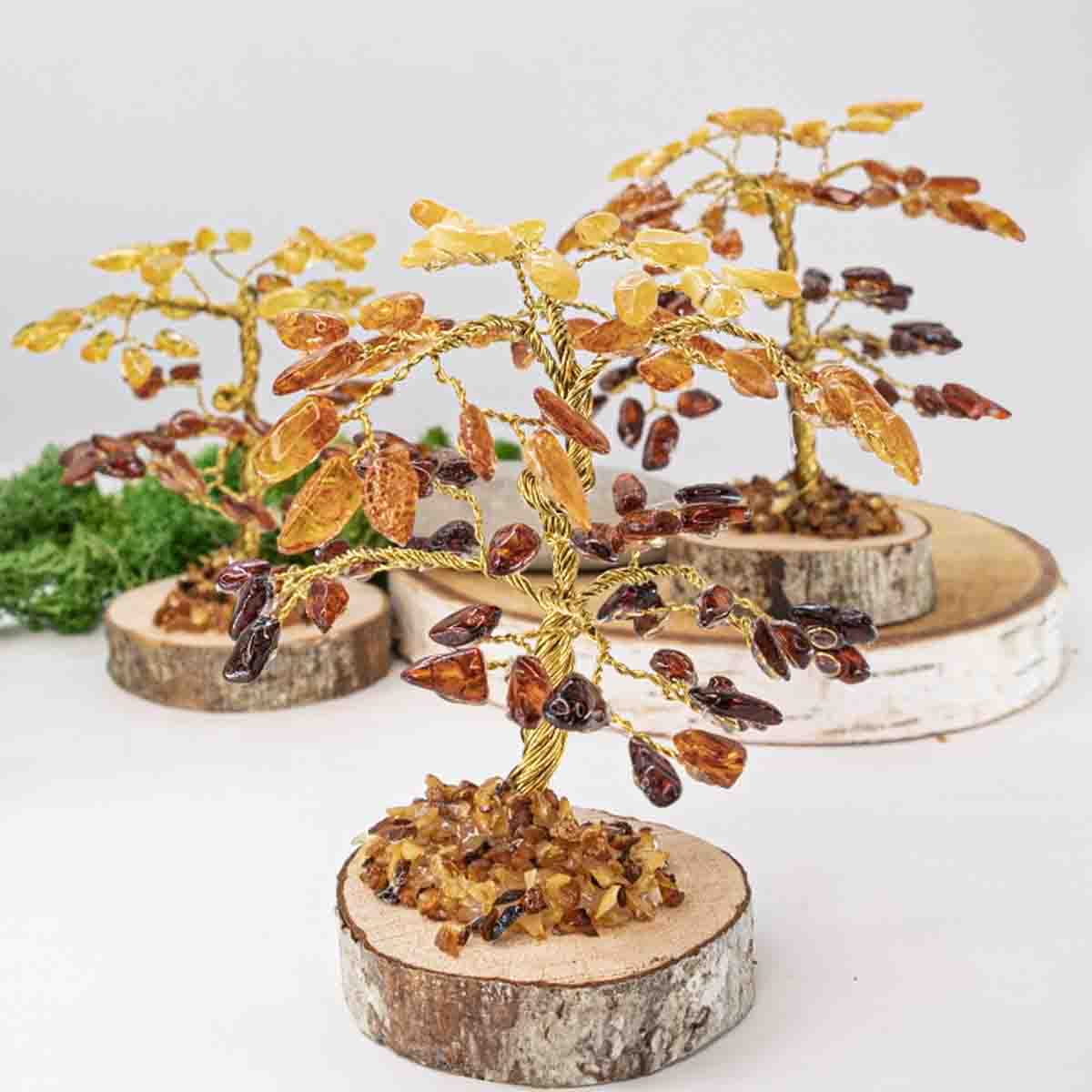 Amber Money Tree on a wood Disc, 10 cm