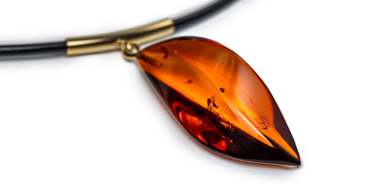 Unveiling the mysteries of the amber: a journey through time