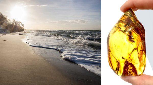 Baltic amber gifts: the gold of the sea, handcrafted in baltic